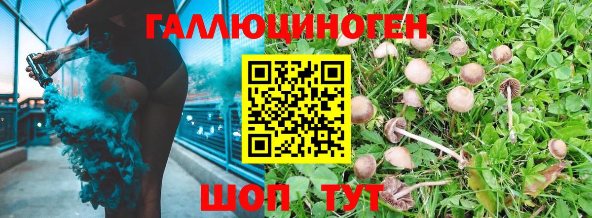 Коммунар  Псилоцибиновые грибы MAGIC MUSHROOMS  купить  цена  Вход с VPN 